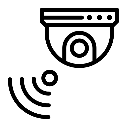 IP Security Icon